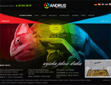 Tablet Screenshot of andrus.com.pl